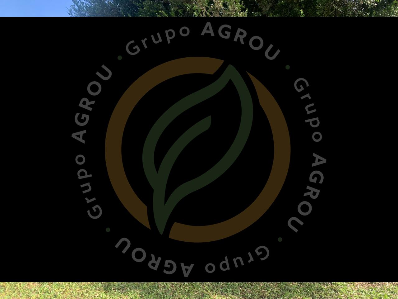 WhatsApp Image 2026-01-06 at 12.11.16