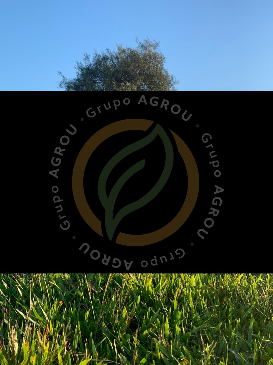 WhatsApp Image 2026-01-06 at 12.12.04 (2)