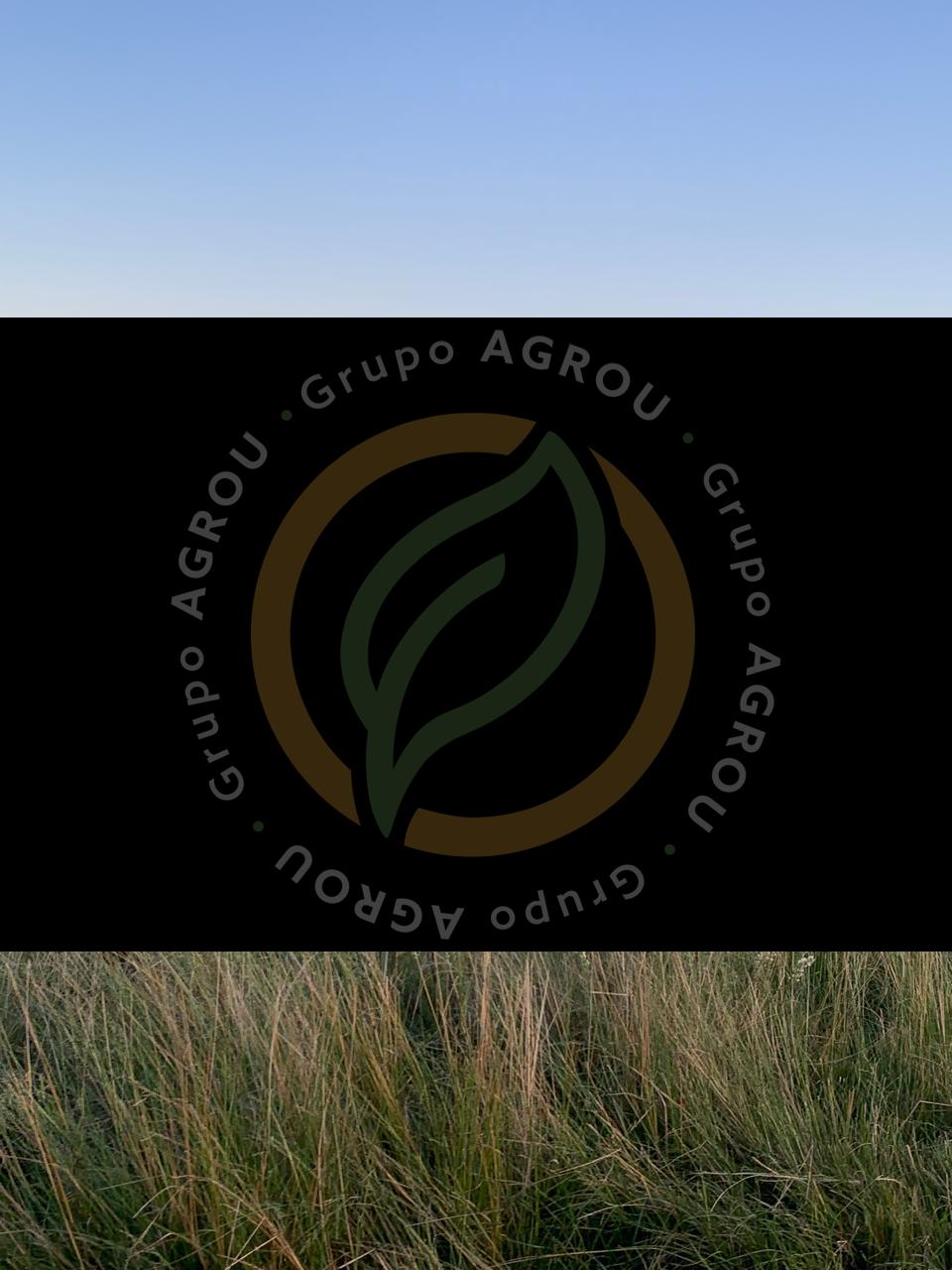 WhatsApp Image 2026-01-06 at 12.12.04 (3)