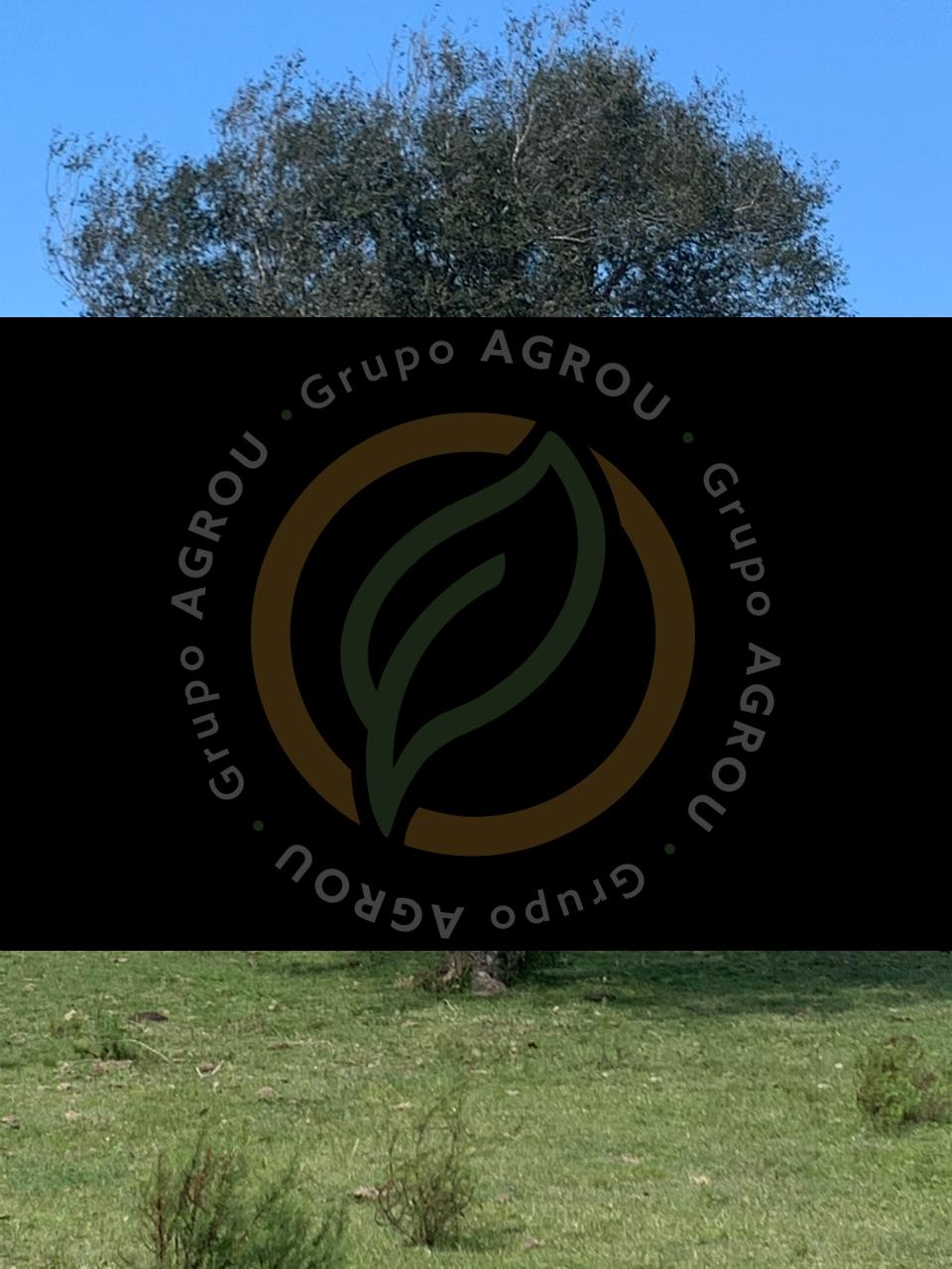 WhatsApp Image 2026-01-06 at 12.12.04