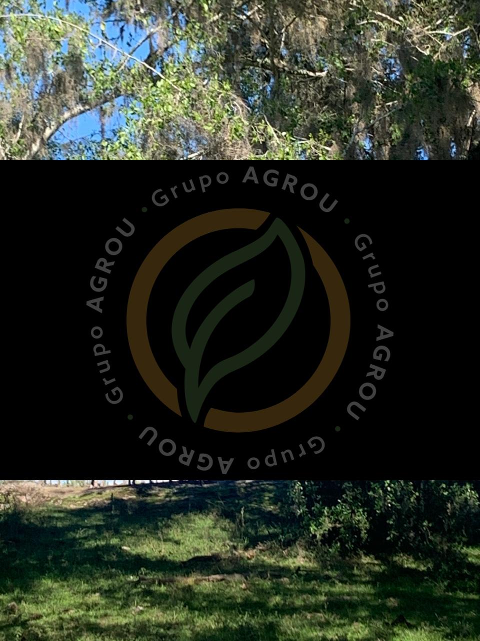 WhatsApp Image 2026-01-06 at 12.12.05 (1)