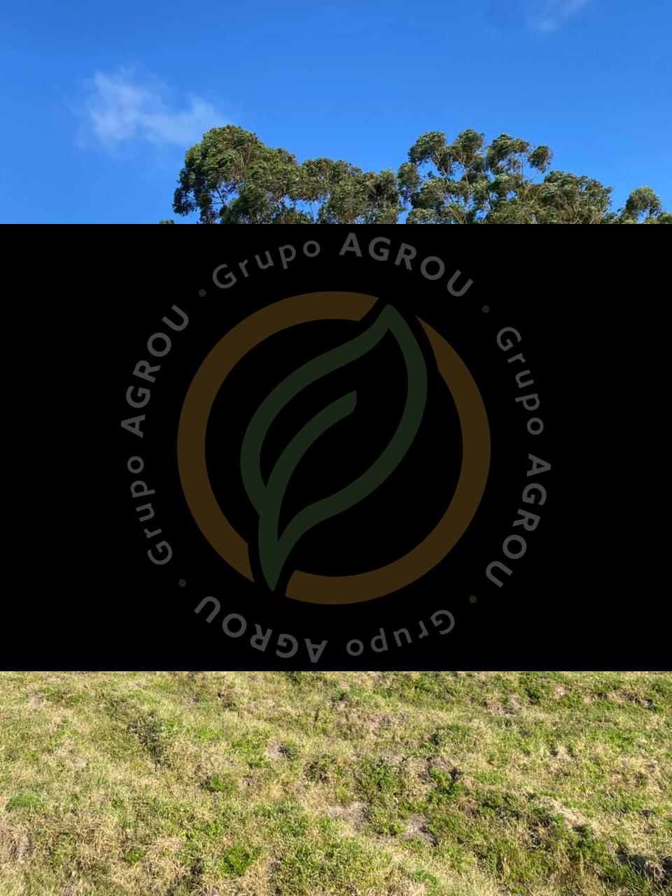 WhatsApp Image 2026-01-06 at 12.38.57 (2)